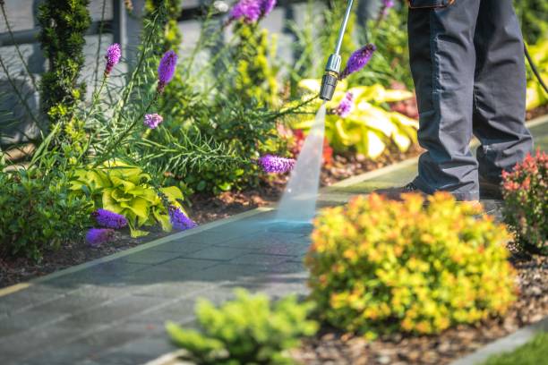 Ahwahnee, CA Pressure Washing Services Company